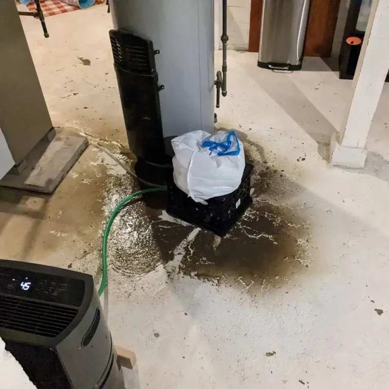 Sewage Backup Cleanup Service in Cascade County, MT